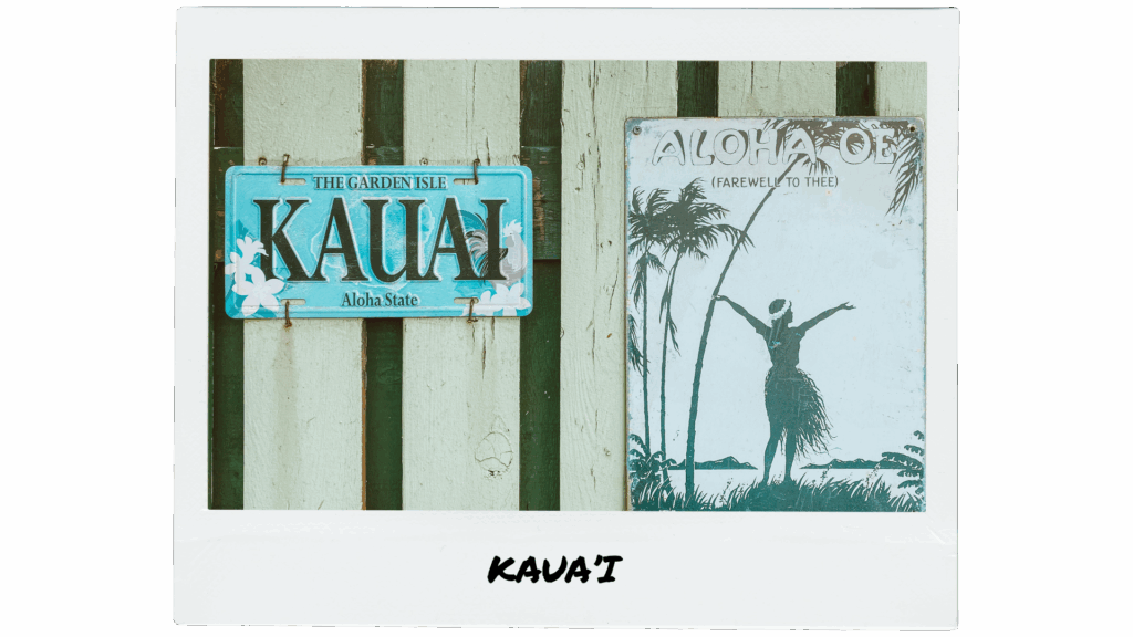 kauai polaroid
