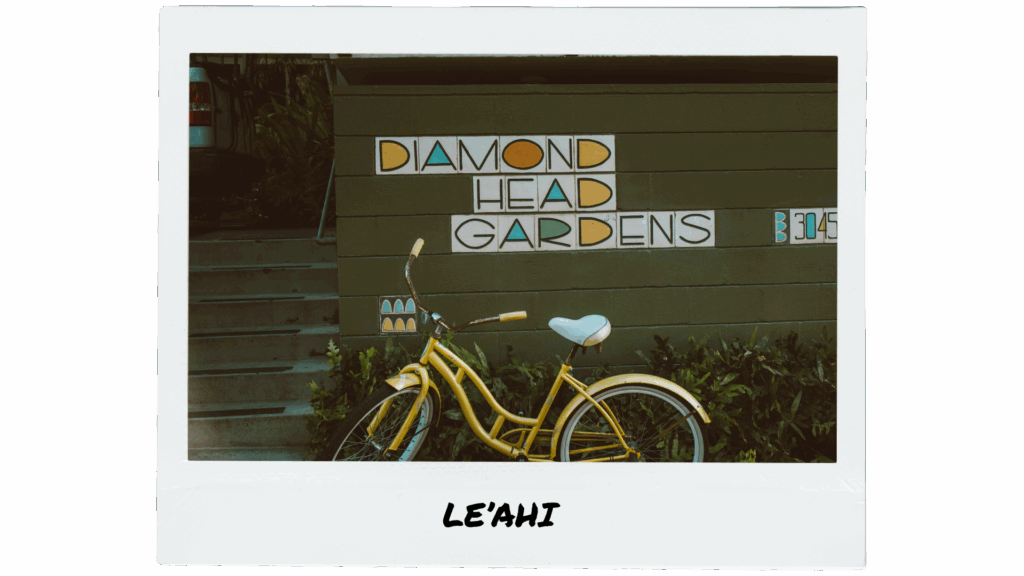 leahi - diamond head polaroid