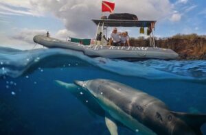 eye level dolphin watch sight see eco raft tour
