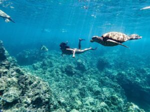 semi private eco raft lanai snorkel dolphin watch